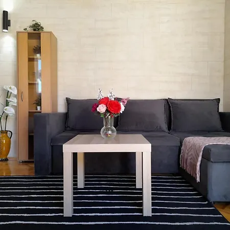 As * 贝尔格莱德